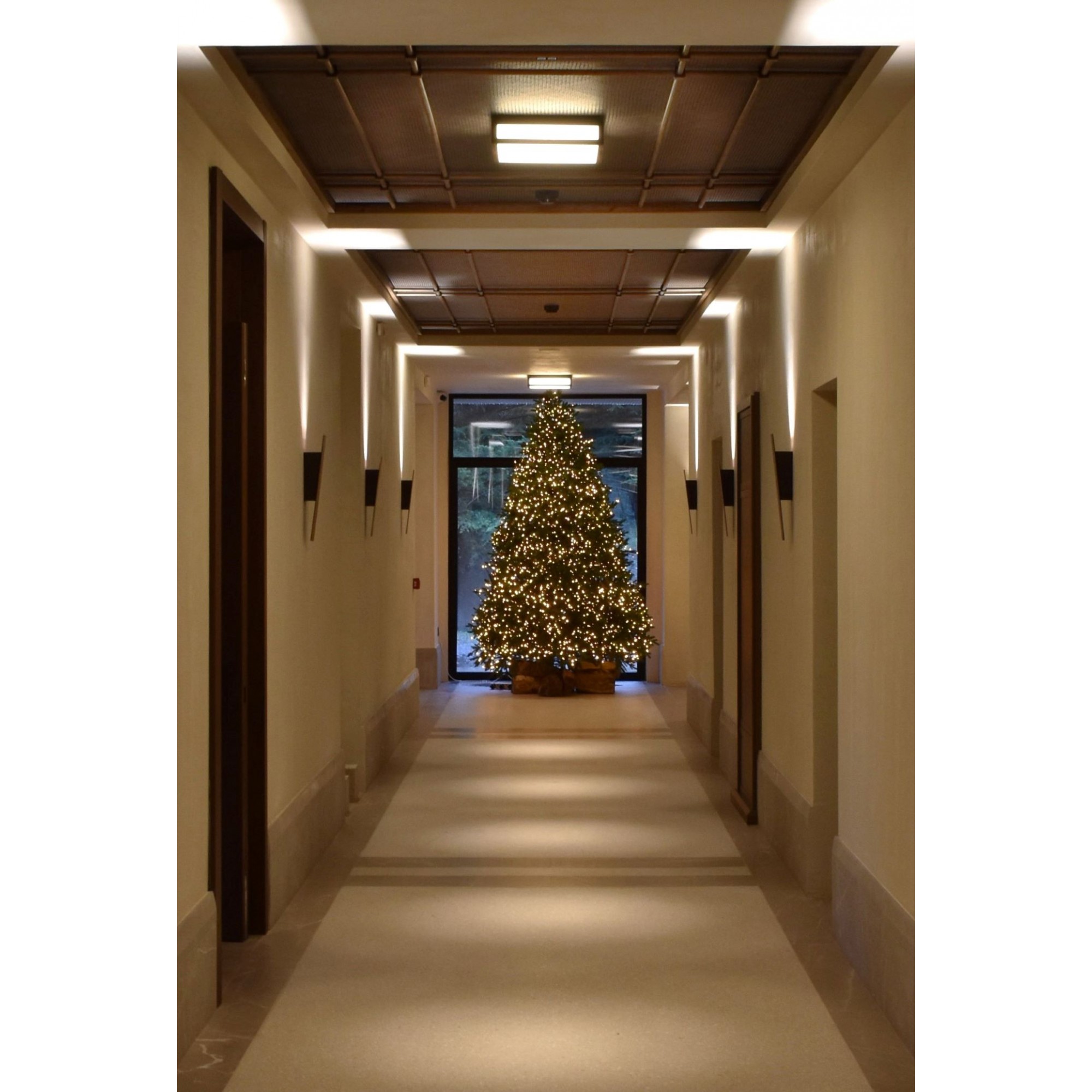 Φωτιστικό Οροφής, Area