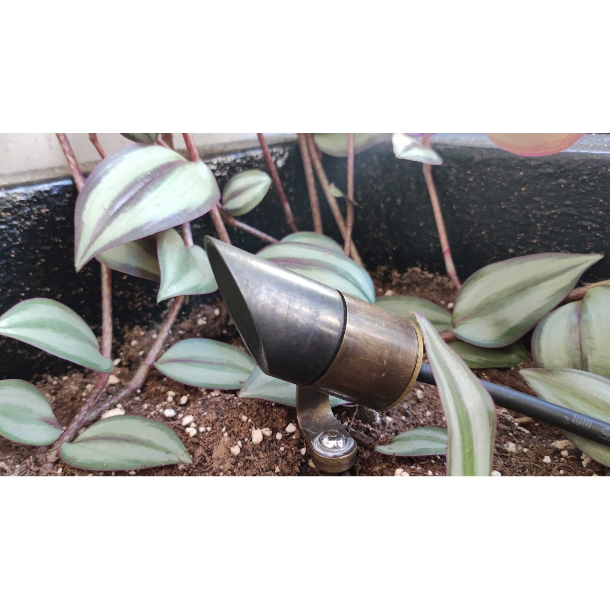 Spot Εξωτερικού Χώρου, Cicada