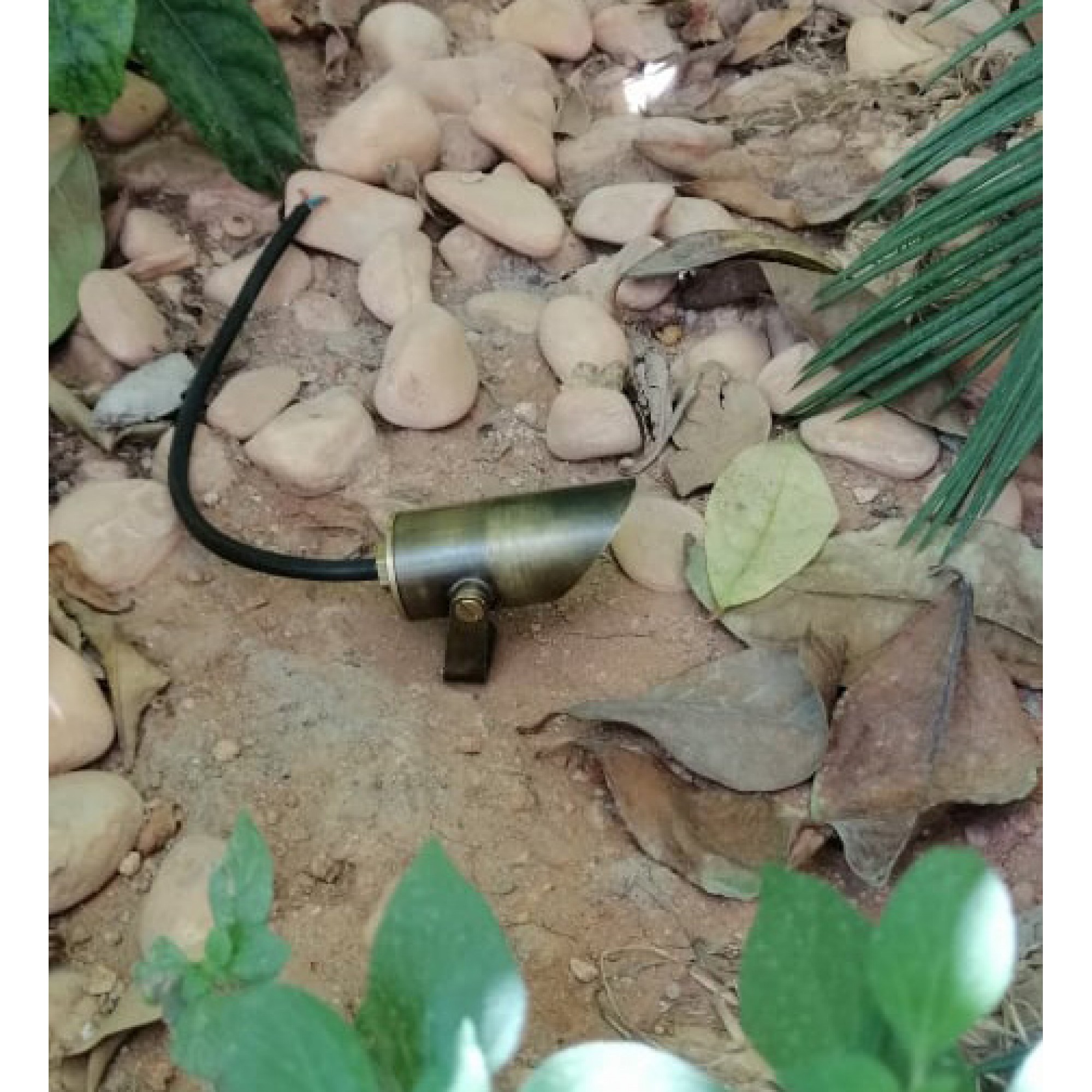 Spot Εξωτερικού Χώρου, Cicada