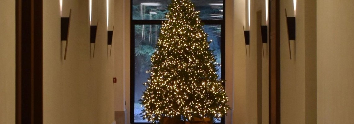 Ξενοδοχείο Manna Arcadia